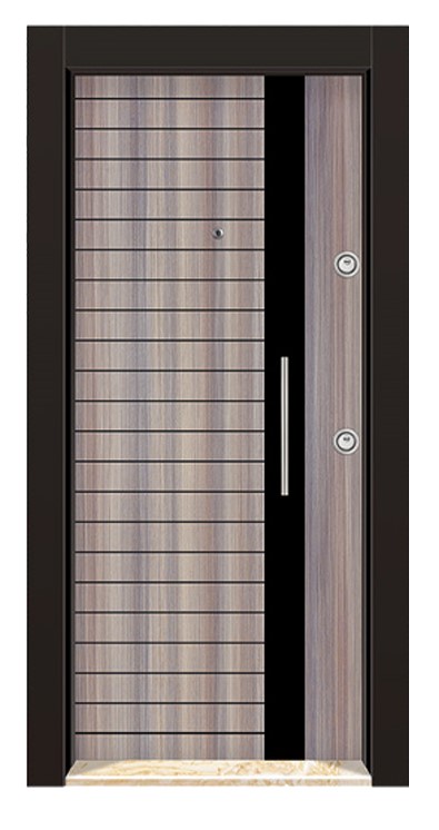 Double color Laminox Steel Door DRL 1710