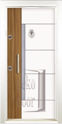 RL253 double color Laminox Steel Door